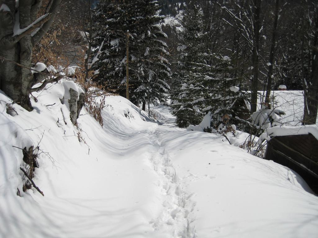 Guesthouse Sejn Kopaonik Buitenkant foto