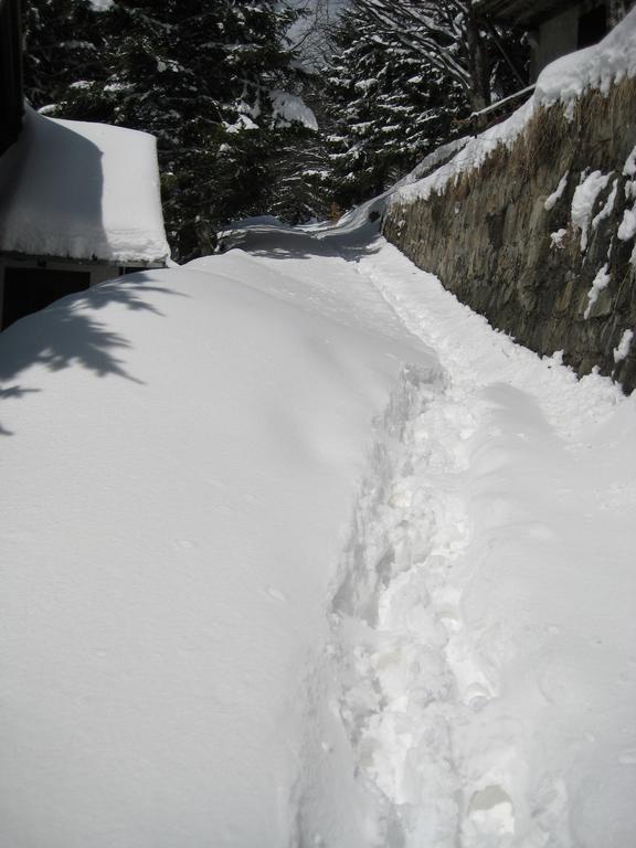 Guesthouse Sejn Kopaonik Buitenkant foto