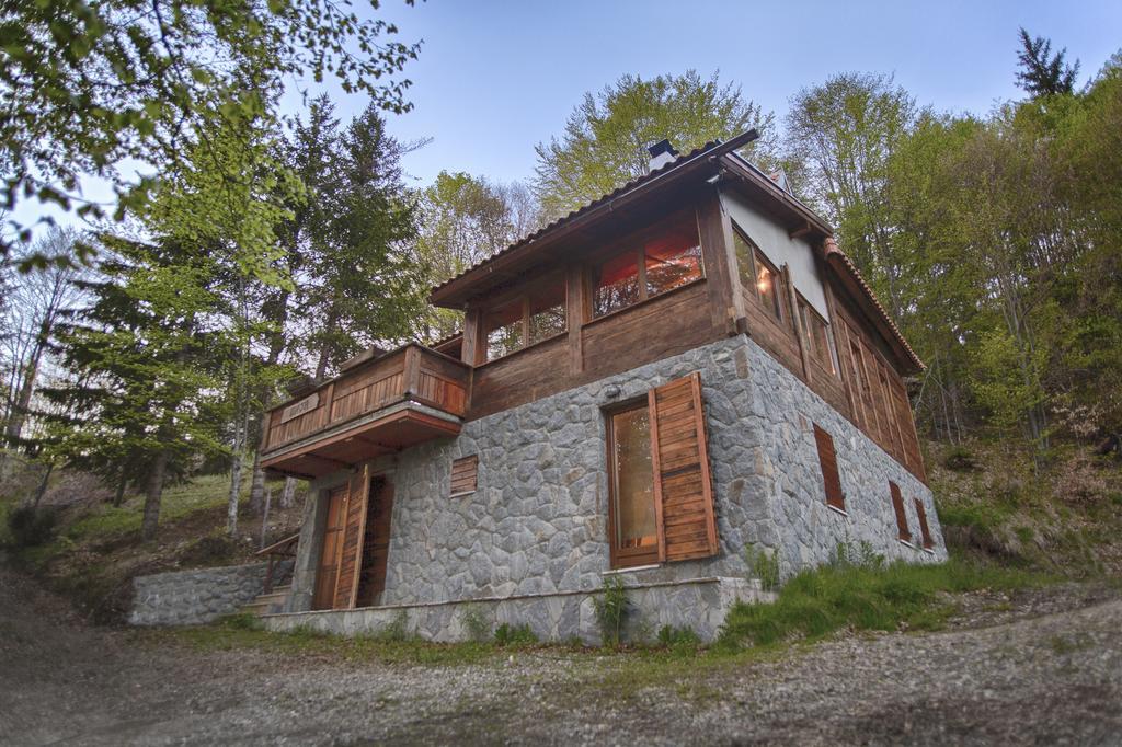 Guesthouse Sejn Kopaonik Buitenkant foto