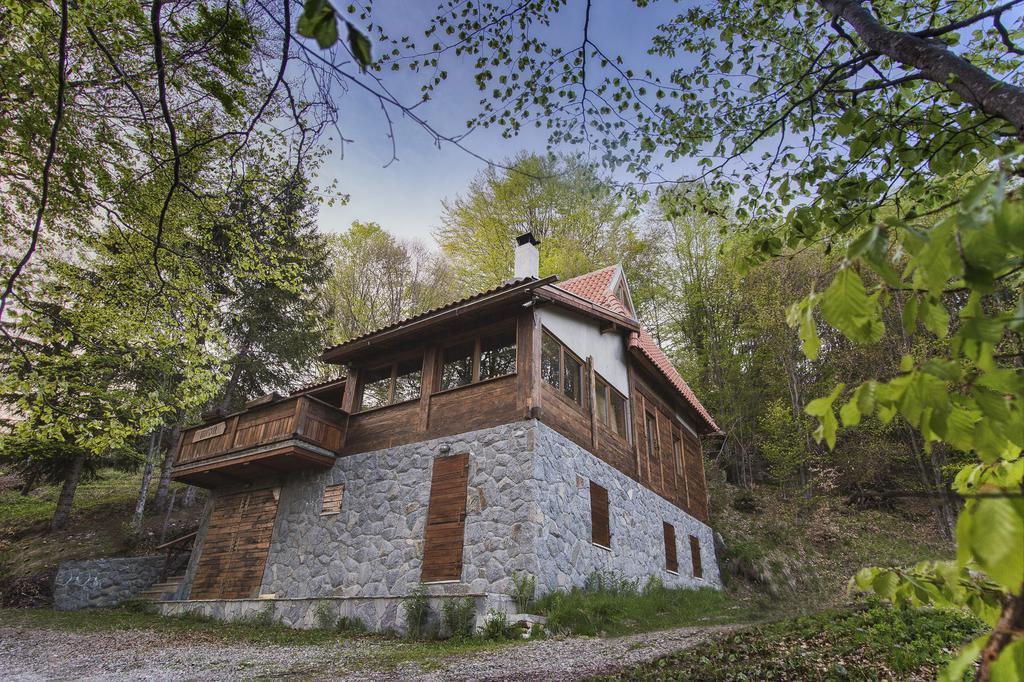 Guesthouse Sejn Kopaonik Buitenkant foto
